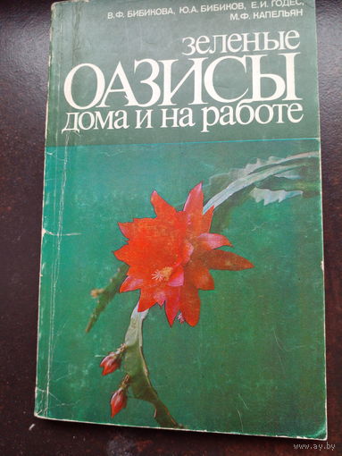 Зеленые оазисы дома и на работе.
