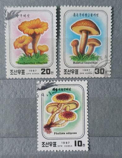 КНДР грибы 3шт