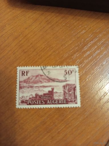 1955 Французская колония Алжир архитектура флора (4-14)