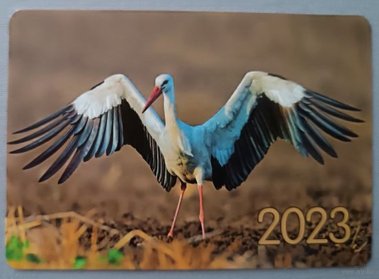 Аист. Календарик, глянец, 2023