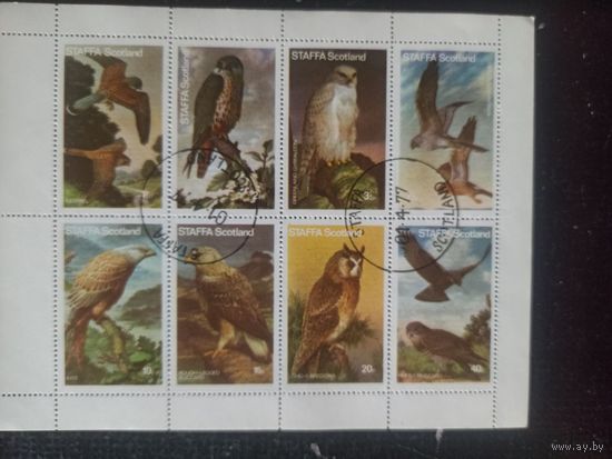 Стаффа. Фауна. Совы. Малый лист