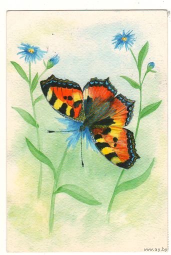 Посткроссинг. Открытка бабочка "Крапивница", худ.Ольга Валеева (10х15). Прошла почту. Художественные марки, чёткий штемпель.