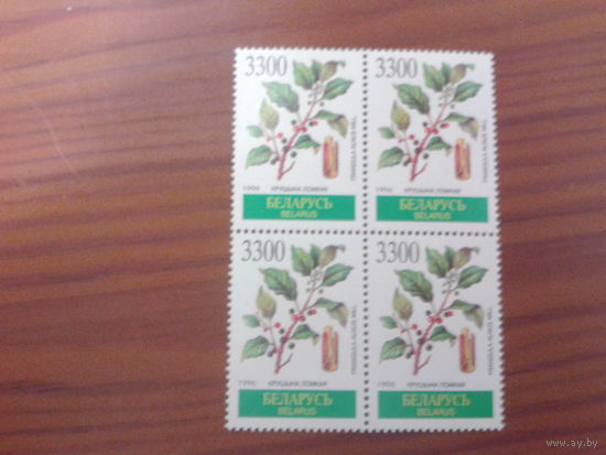 Беларусь 1996 крушина