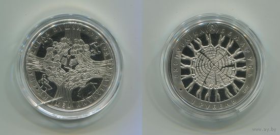 Беларусь. 1 рубль (2009, UNC) [Беловежская пуща. 600 лет заповедному режиму]
