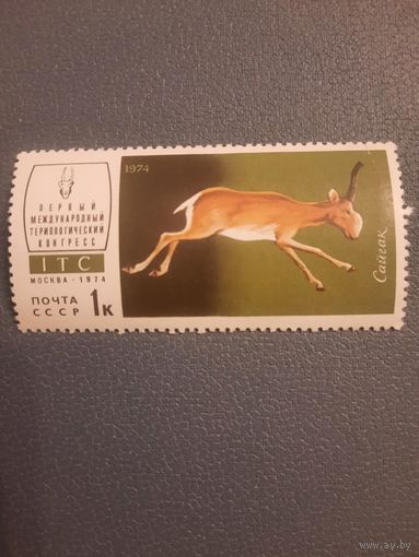 СССР 1974. Сайгак. Марка из серии