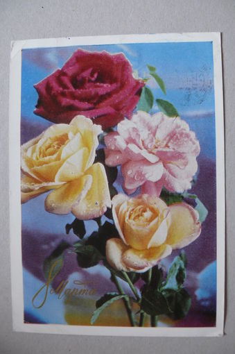 Костенко Г., 8 Марта; 1971, подписана.