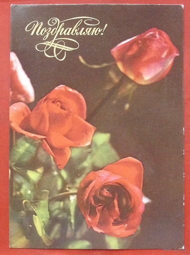 Поздравляю! Чистая. 1976 года. Комлев. 704.
