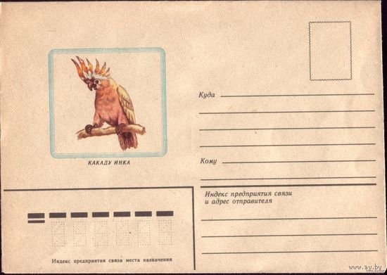 1983 год Какаду инка