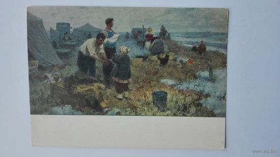 1955. Соцреализм. Смолин. Первые дни на целине