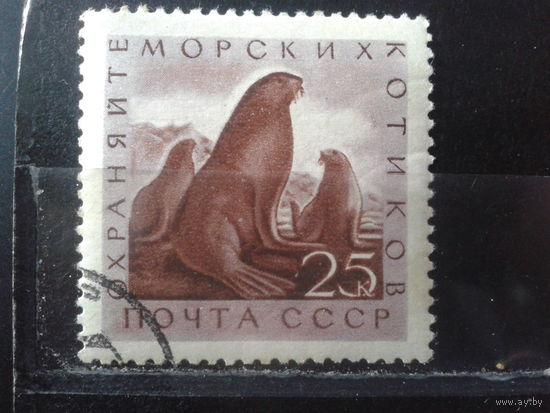 1960 Морская фауна с клеем без наклейки