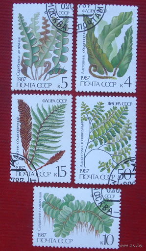 СССР. Флора. Папоротники. ( 5 марок ) 1987 года. 3-8.