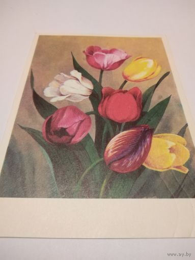 Открытка 1976г. Подписана. Цветы.