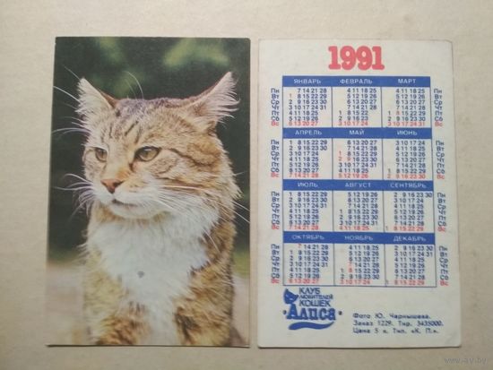 Карманный календарик. Котик. 1991 год