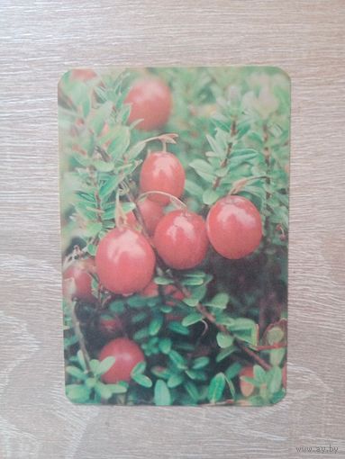 Календарик 1991