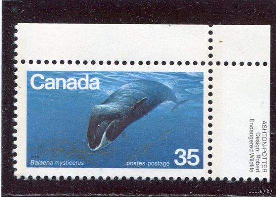 Канада. Фауна. Гренландский кит