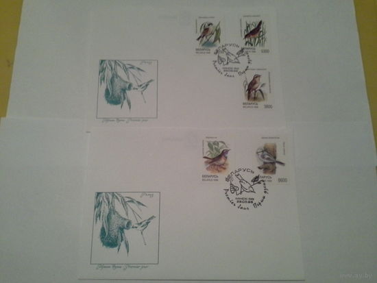Беларусь Кпд 1998 птицы