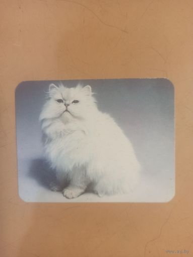 Календарь 1990 кошки/14