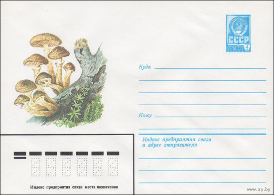 Художественный маркированный конверт СССР N 15908 (30.09.1982) Опенок осенний