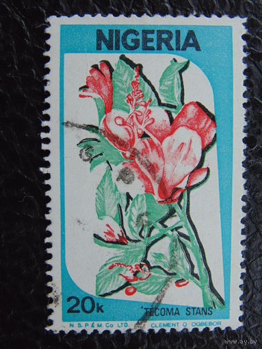 Нигерия. Цветы.