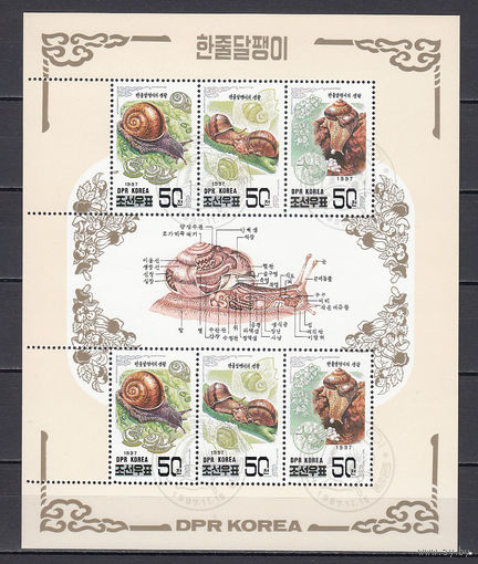Фауна. Улитки. КНДР. 1997. 1 малый лист. Michel N 3983-3985 (8.0 е)