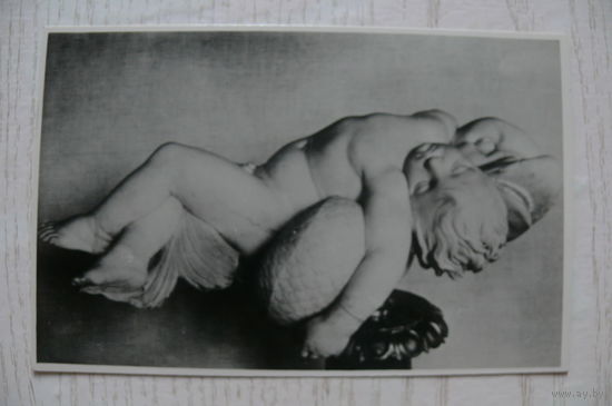 Государственный Эрмитаж. Мальчик на дельфине (мрамор); 1959, чистая.