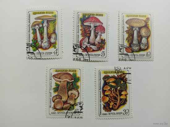 1986 СССР. Ядовитые грибы. Полная серия