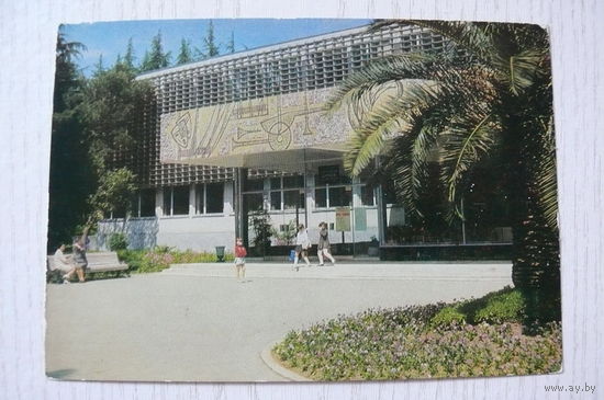 Сочи; 1972, чистая, ДМПК.