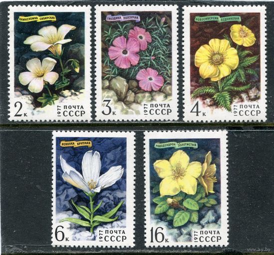 СССР 1977. Флора. Цветы гор Сибири
