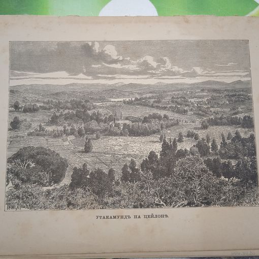 УТАКАМУНДЪ НА ЦЕЙЛОНЕ. гравюра конец 19в.-20в. 26х17см.