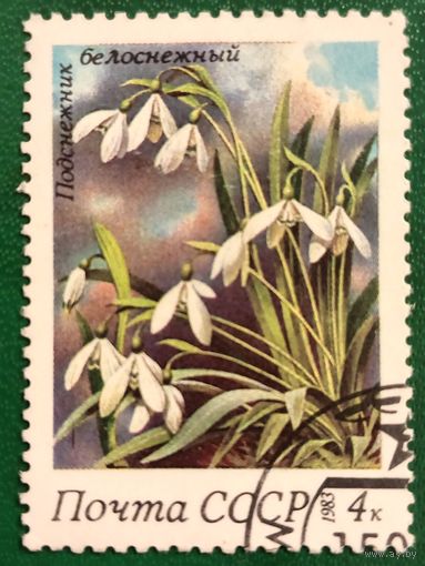 СССР 1983. Подснежники белоснежный. Марка из серии