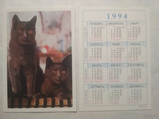 Карманный календарик. Котик.1994 год