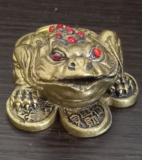 Денежная лягушка