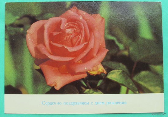 Сердечно поздравляю с Днём рождения! Чистая. ГДР для СССР.