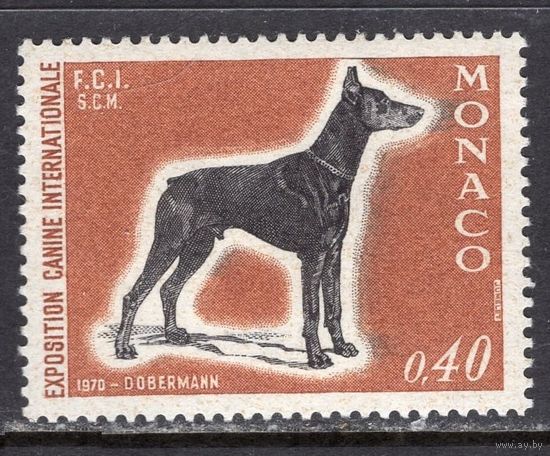 Монако 1970 ** Фауна  Выставка собак. Доберман