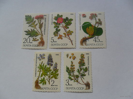СССР 1985г, растения