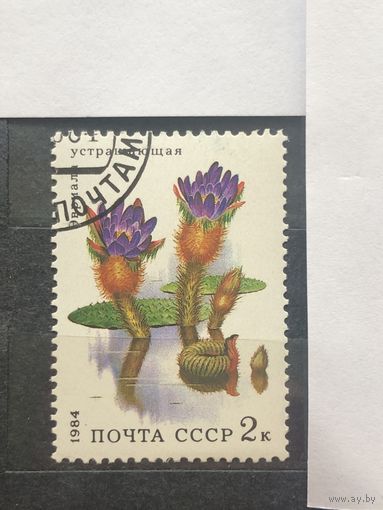 СССР 1984 год. Флора