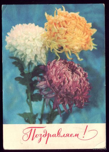 1973 год Г.Костенко Поздравляем