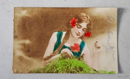 1908 год Курляндия Открытка