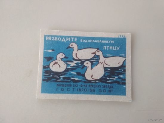 Спичечные этикетки  ф.Красная звезда. Разводите водоплавающую птицу. 1958 год