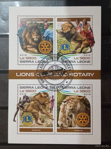 ЛИСТ ФАУНА ТИГРЫ ХИЩНИКИ   СТО