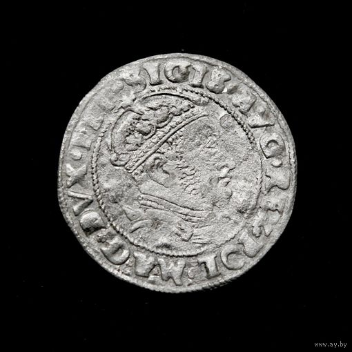 Грош 1546 г. Вильно (Великое Княжество Литовское), Сигизмунд Август