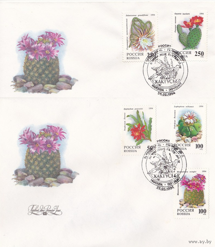 Россия 1994 Конверты КПД Кактусы серия флора
