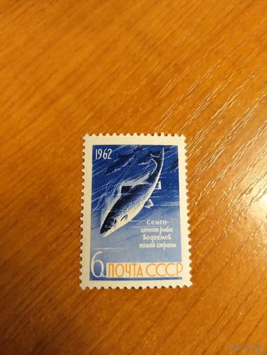 1962 СССР Загорский 2646 фауна рыбы чистая MNH** (сф-6)