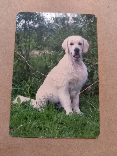 Календарик