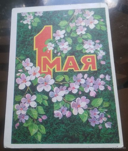 1976 год Л.Кузнецов 1 мая