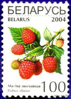Марка стандартная РБ #539 2004 г., негаш. Малiна звычайная.
