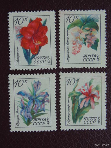 СССР 1971 г. Цветы.