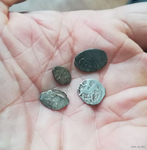 Чешуйки копейки 4 шт одним лотом