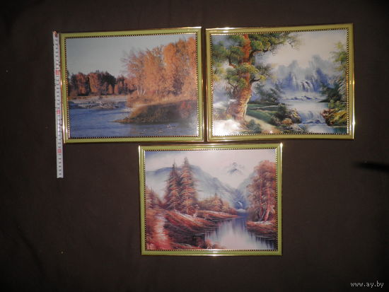 Три картины (стерео) в рамках.С рубля.