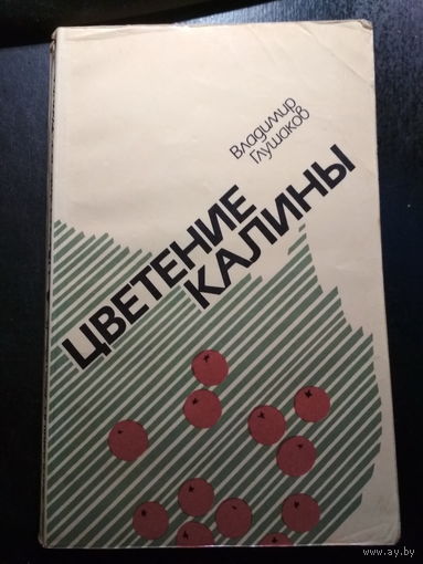 Цветение калины. Владимир Глушаков.